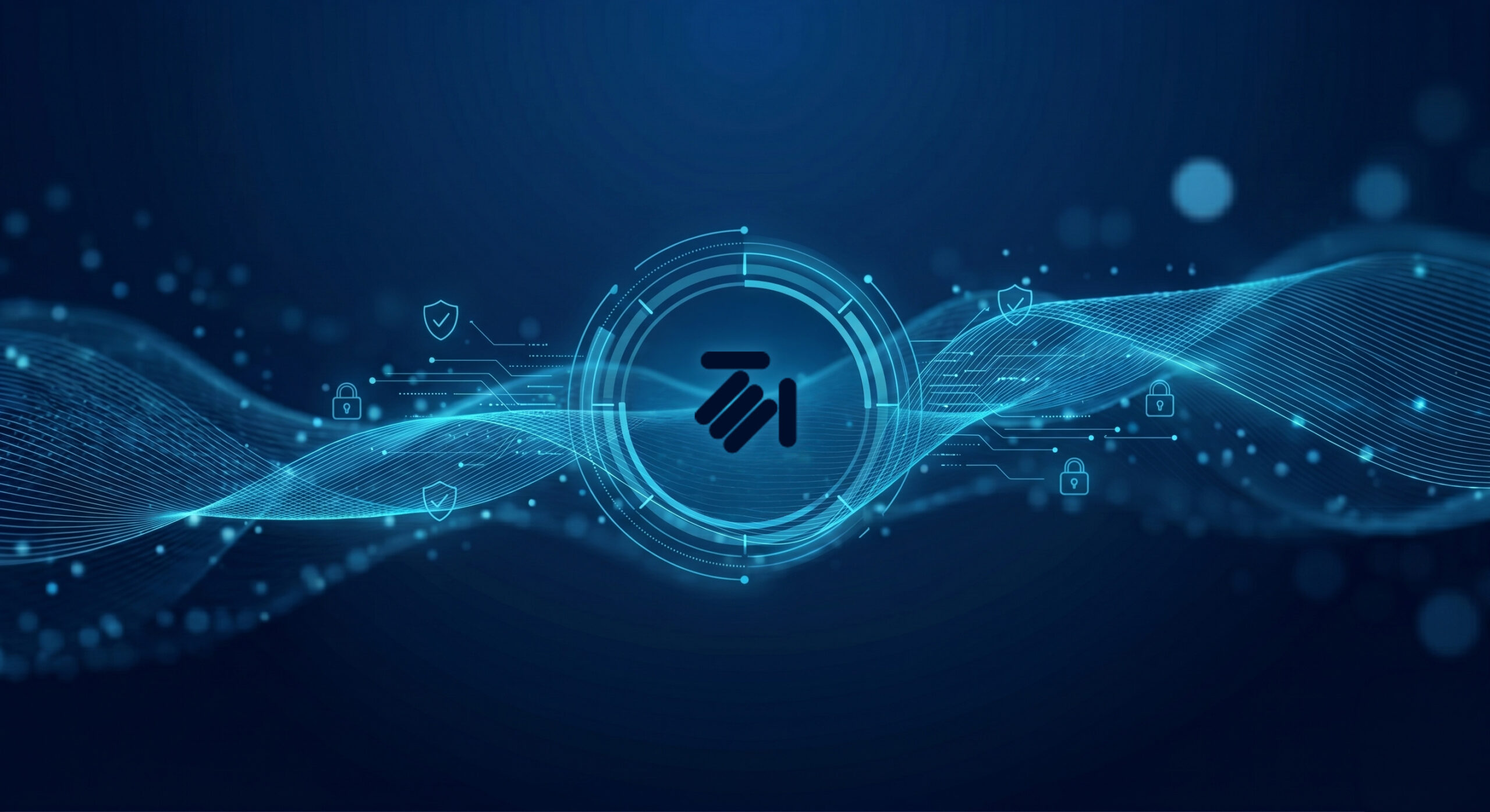 content-security-check-hl